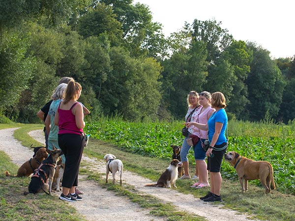 Pfotenzeit Hundeschule Regensburg - Gruppenstunde Pfotenbewegung für Kopf und Körper
